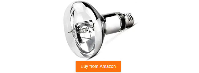 mercury vapor bulb