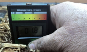 Check UV With a Solar Meter for Tortoise Enclosure