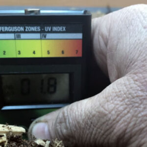 Check UV With a Solar Meter for Tortoise Enclosure